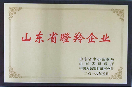 ������ͨ�^2021��ȡ�ɽ�|ʡ������I���͌�