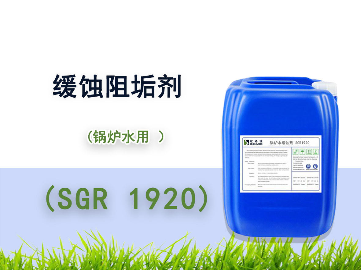 偠t�þ��g�蹸��SGR1920