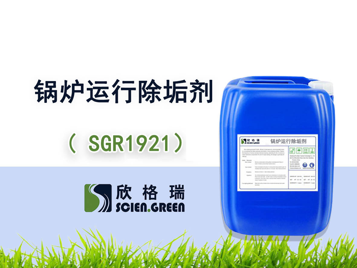 偠t�\(y��n)�г���������ϴ���� SGR1921